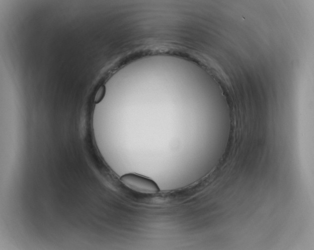 X0000112350496200908131017