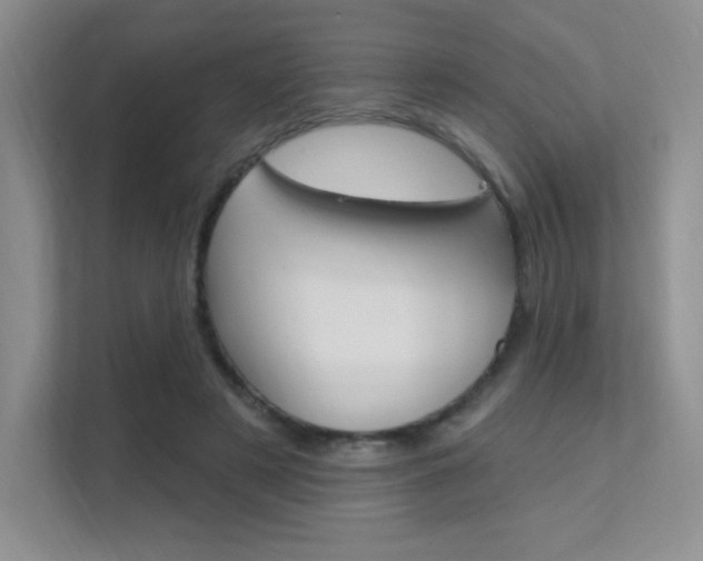 X0000112350497200908131017