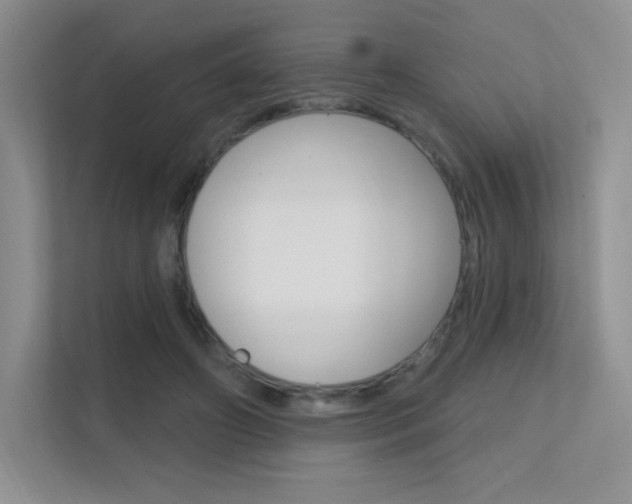 X0000112350498200908131017
