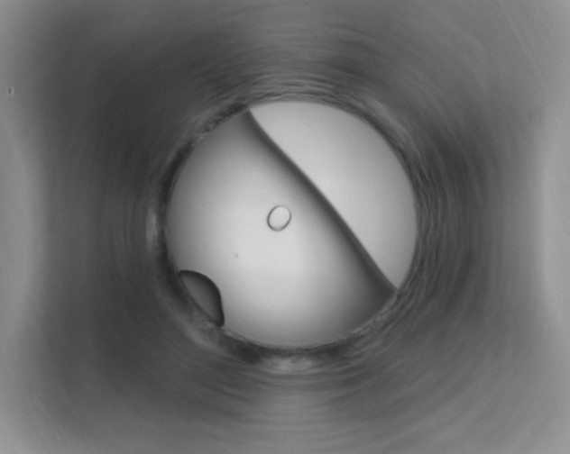 X0000112350500200908131017