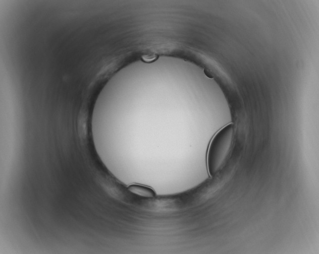 X0000112350501200908131017