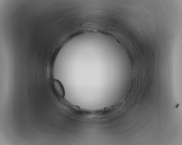 X0000112350504200908131017