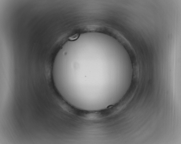 X0000112350505200908131017