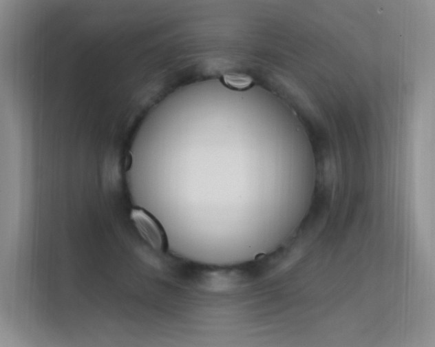 X0000112350508200908131017