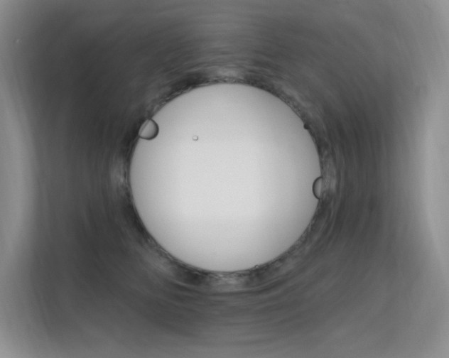 X0000112350518200908131017
