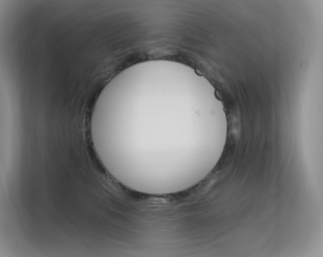 X0000112350519200908131017