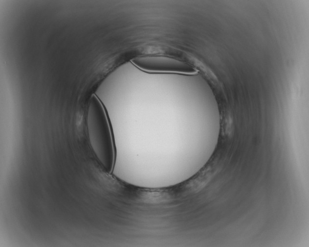 X0000112350521200908131017