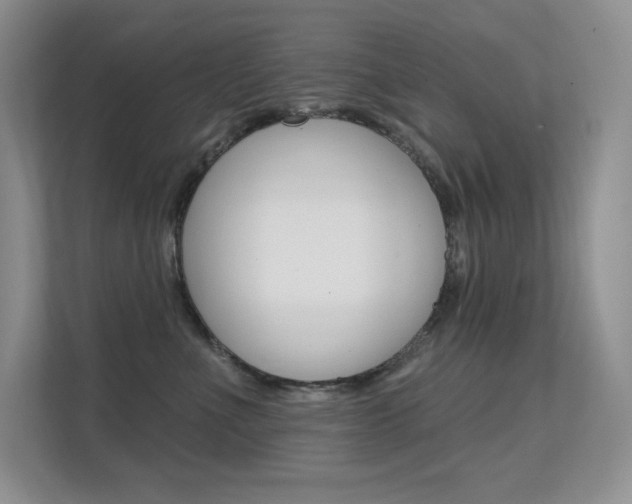 X0000112350523200908131017