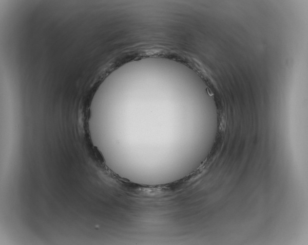X0000112350524200908131017