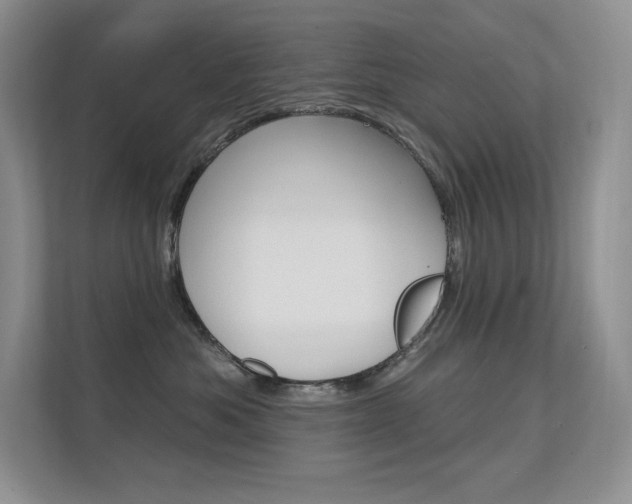 X0000112350525200908131017