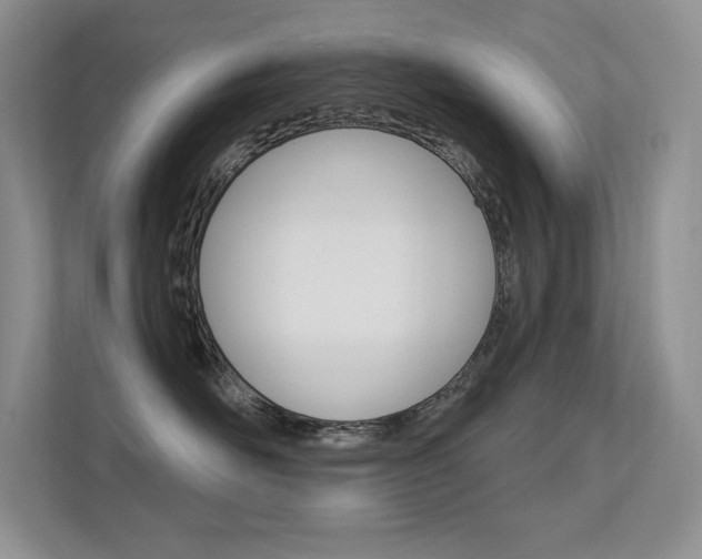 X0000112350526200908131017