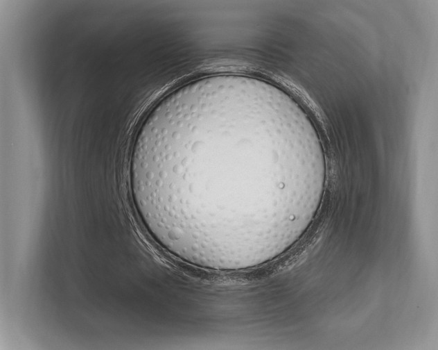 X0000112350529200908131016