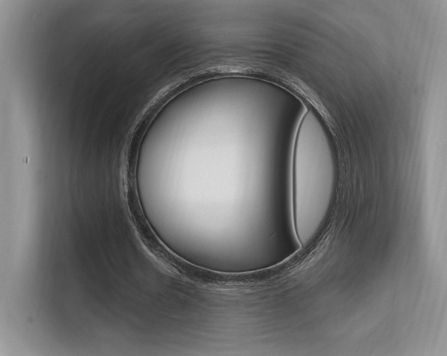 X0000112350530200908131016