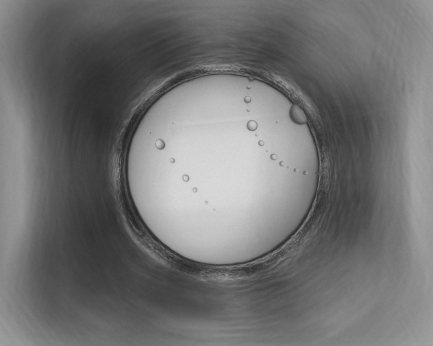 X0000112350533200908131016