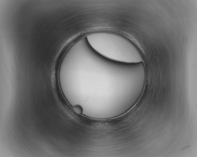 X0000112350535200908131016