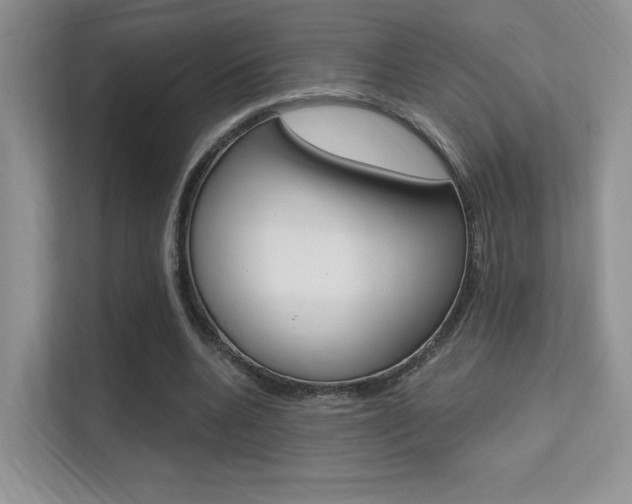 X0000112350536200908131016