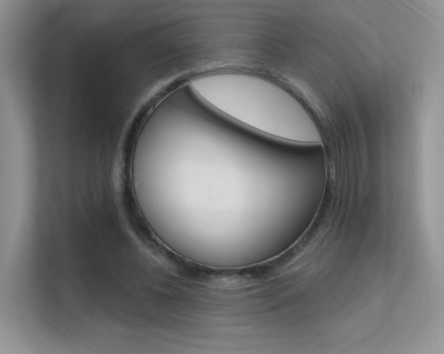 X0000112350540200908131016