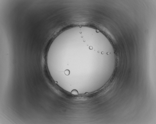 X0000112350541200908131016