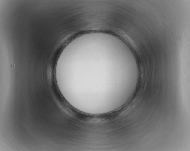X0000112350542200908131016