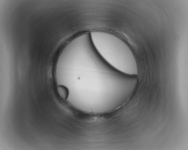 X0000112350543200908131016