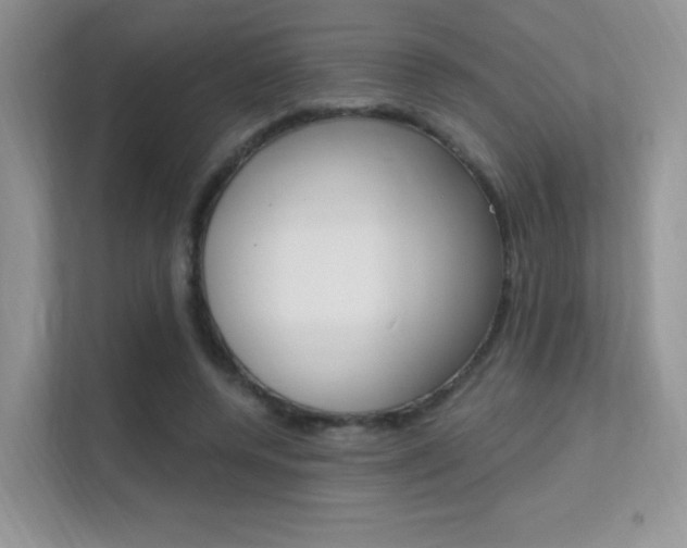 X0000112350544200908131016