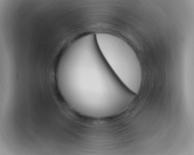 X0000112350547200908131016
