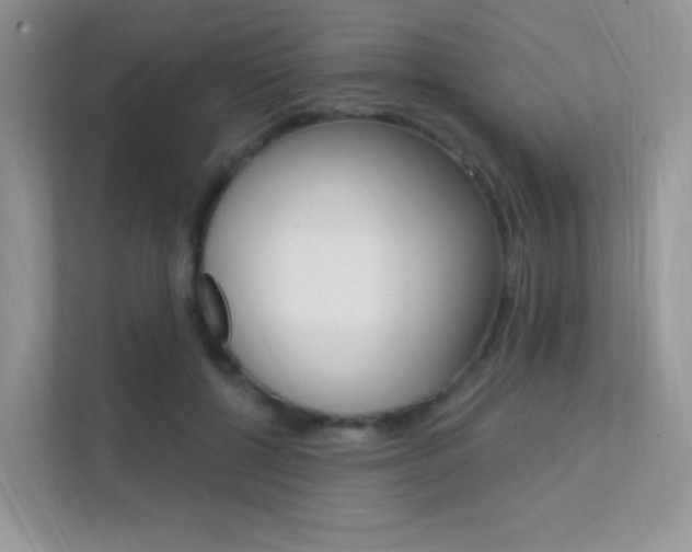 X0000112350552200908131016