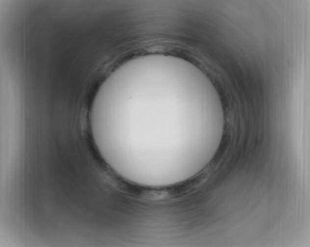 X0000112350554200908131016