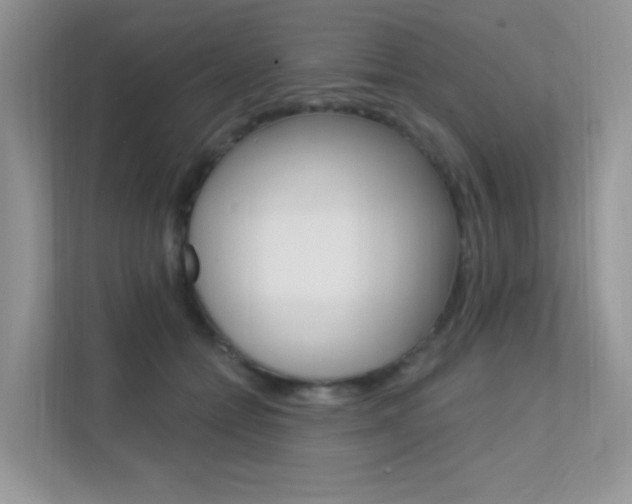 X0000112350558200908131016