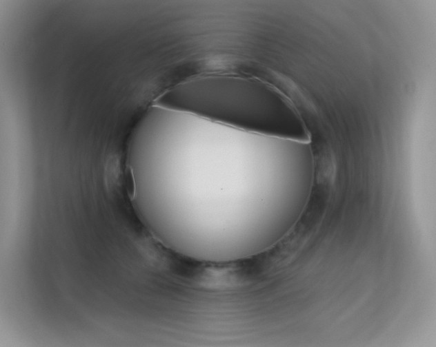 X0000112350560200908131016