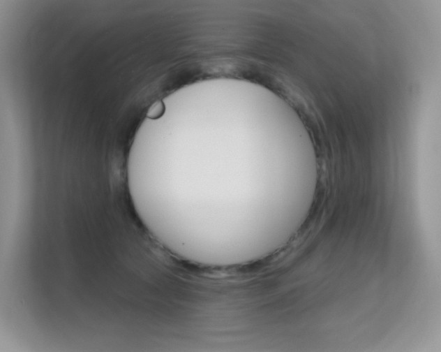 X0000112350561200908131016