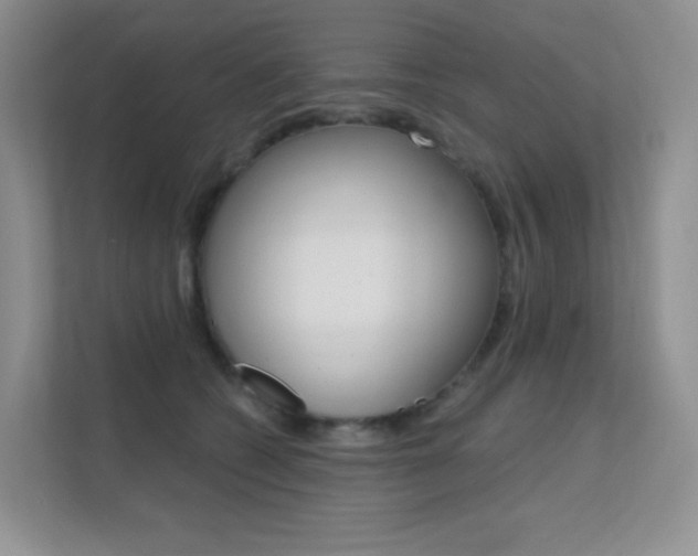 X0000112350562200908131016