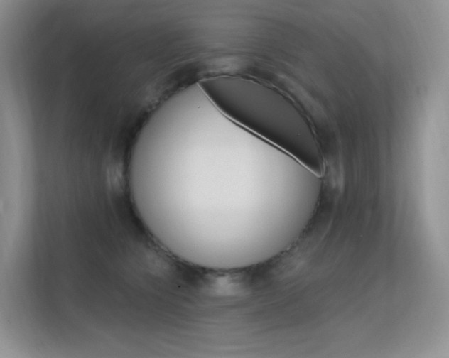 X0000112350564200908131016