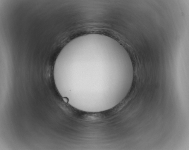 X0000112350567200908131016
