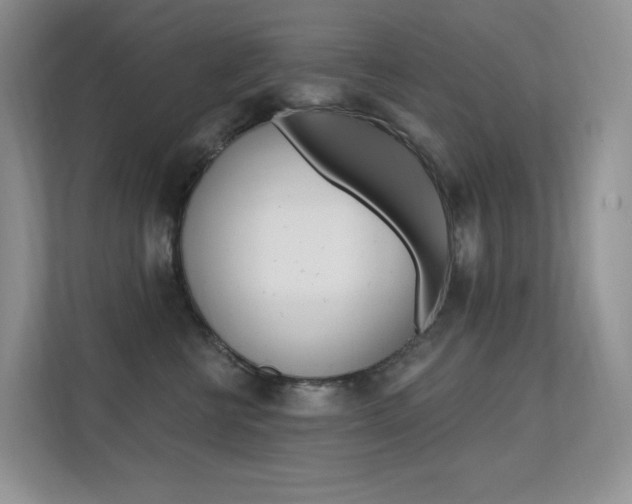 X0000112350570200908131016