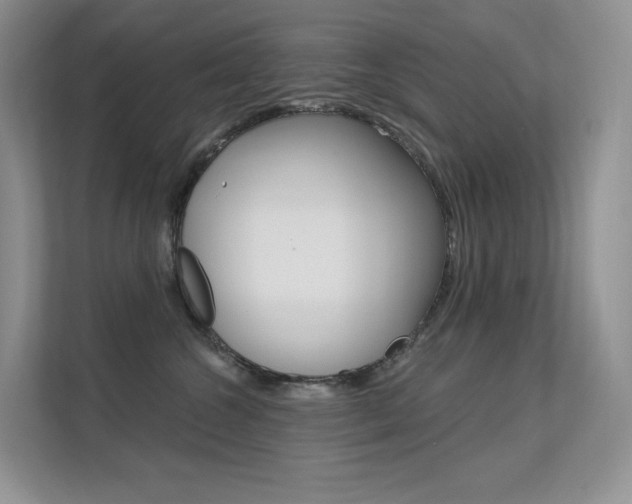 X0000112350572200908131016