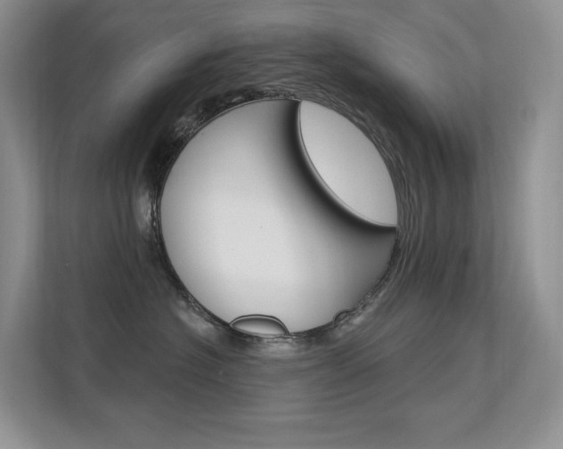 X0000112350574200908131016