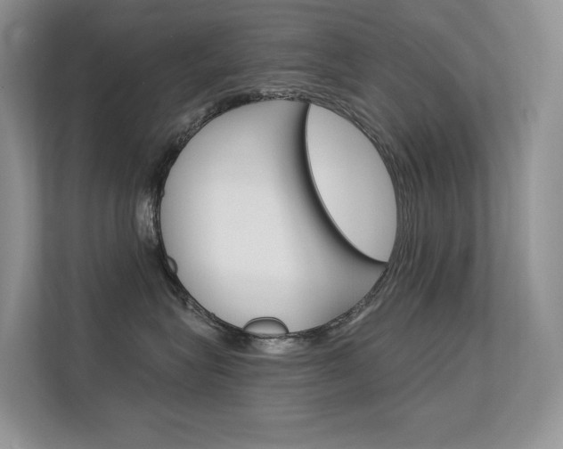 X0000112350575200908131016