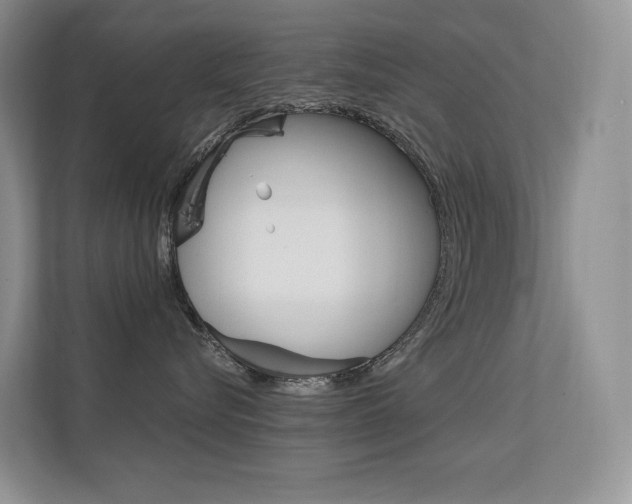 X0000112350576200908131016