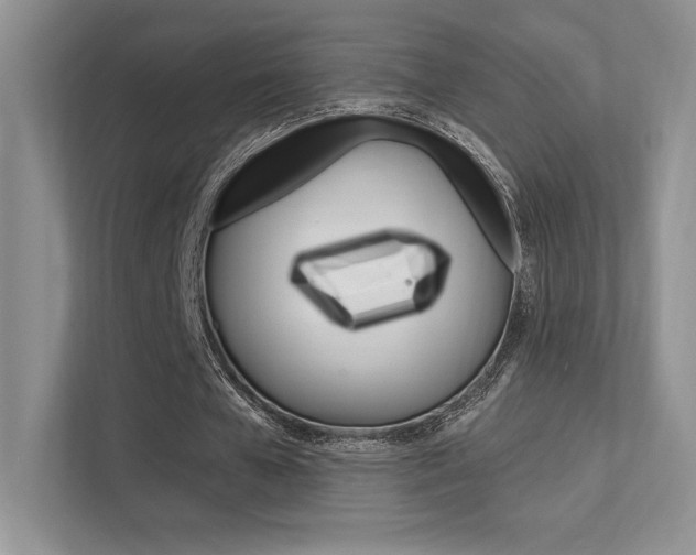 X0000112350577200908131016
