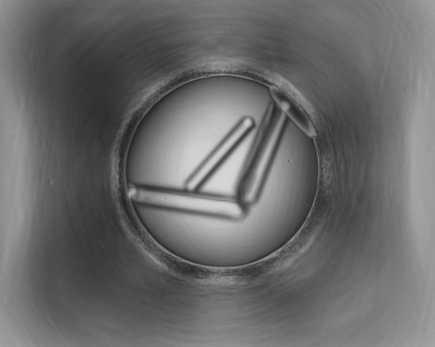 X0000112350581200908131016