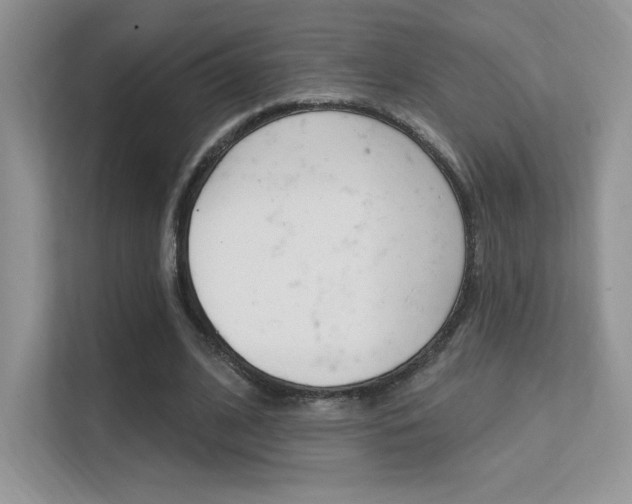 X0000112350584200908131016