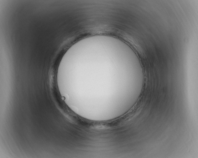 X0000112350590200908131016