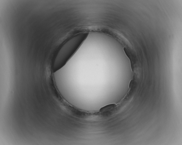 X0000112350593200908131016