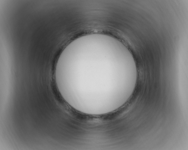 X0000112350594200908131016