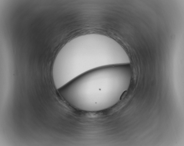 X0000112350613200908131015
