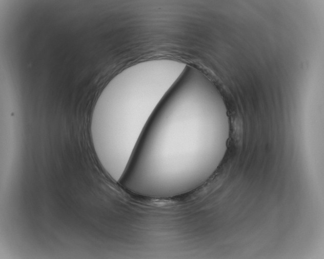 X0000112350617200908131015