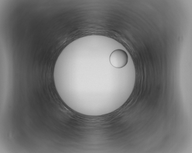 X0000112350621200908131015