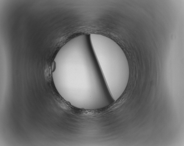 X0000112350624200908131015