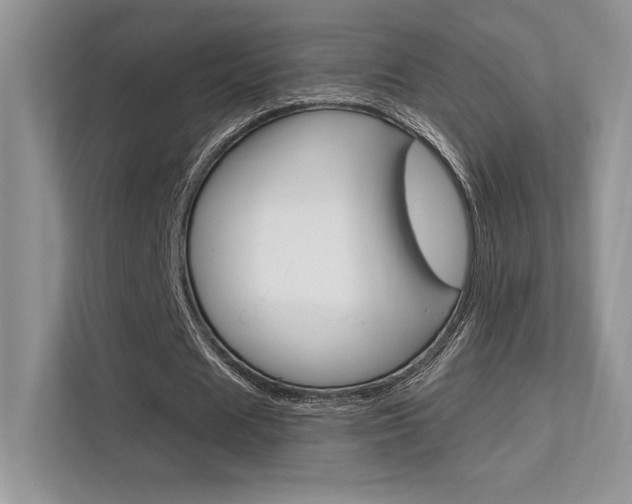 X0000112350625200908131015